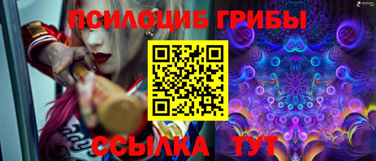 Псилоцибиновые грибы Psilocybine cubensis Мончегорск