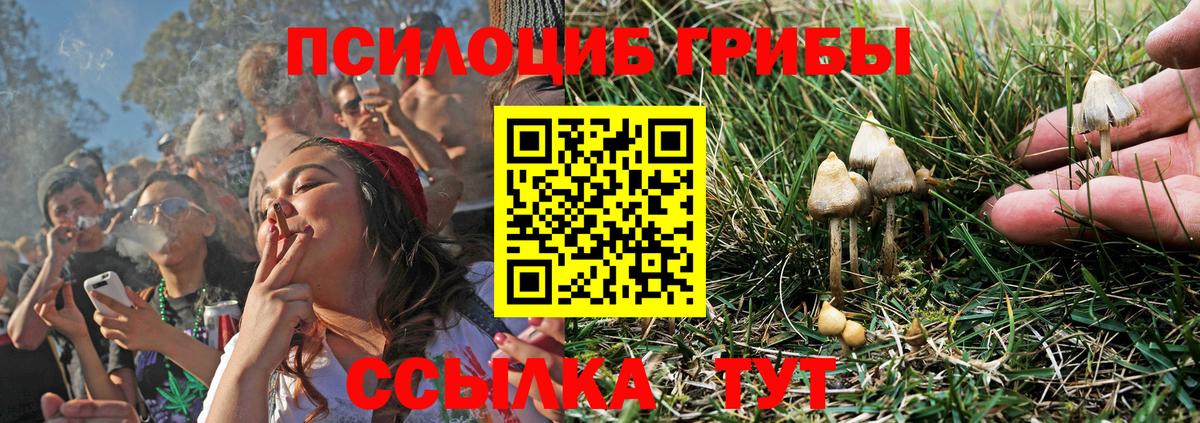 Псилоцибиновые грибы прущие грибы  Вход с VPN  Мончегорск 